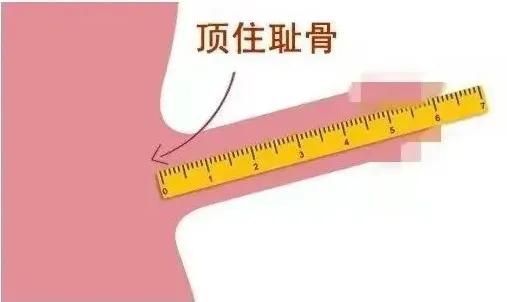 外国男人为什么丁丁大(16cm在男人里是什么水平？)