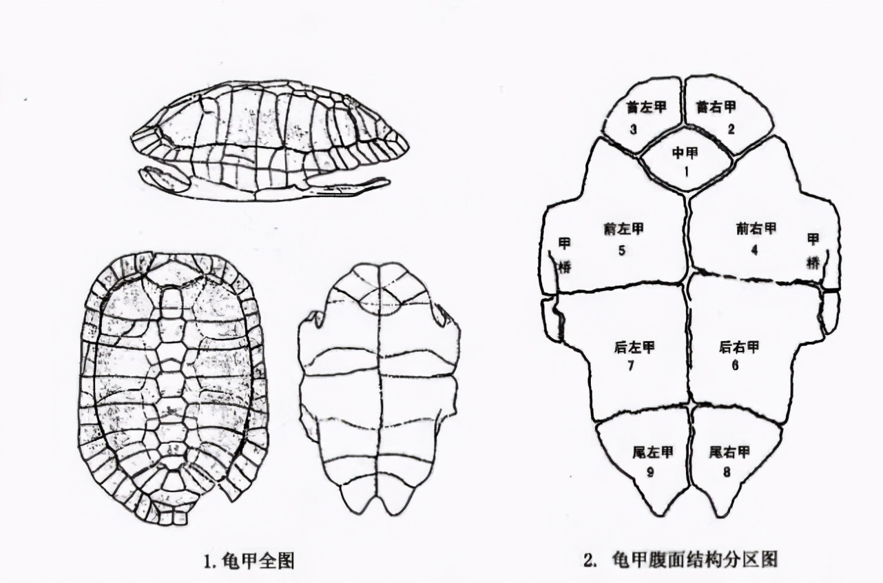 一文读懂易经到底在讲什么？