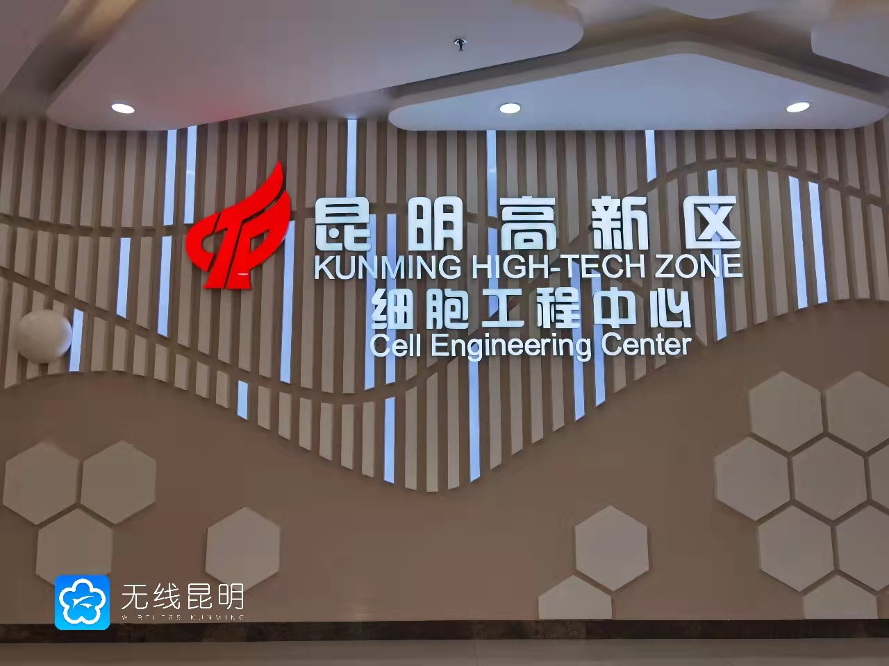 昆明高新区：发挥资源禀赋 打造世界级生物医药产业集群