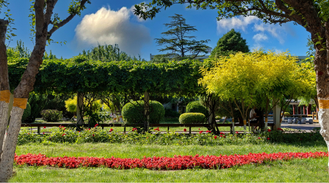天津职业技术师范大学怎么样（国内超）