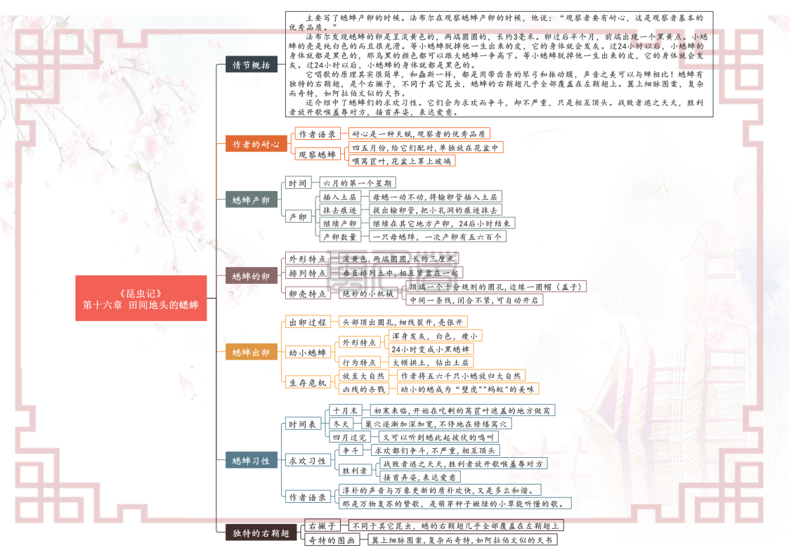 八年级上册语文名著阅读《昆虫记》各章节思维导图（重点知识）