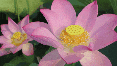 城乡建设 ?看遂宁如何唱响高质量发展的“主旋律”