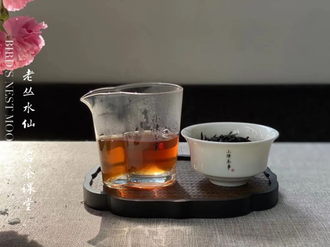 都是乌龙茶，老丛水仙与凤凰单丛有什么区别，你能说中几个？