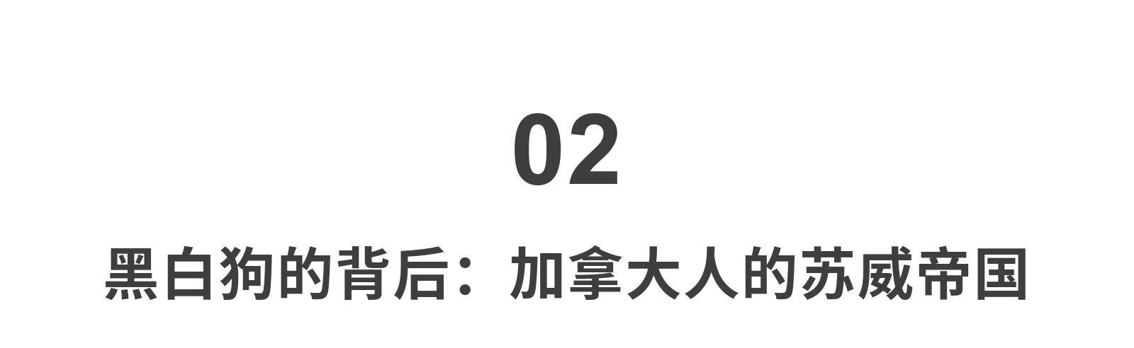 我们常喝的网红威士忌“黑白狗”，苏格兰人可能都没听说过