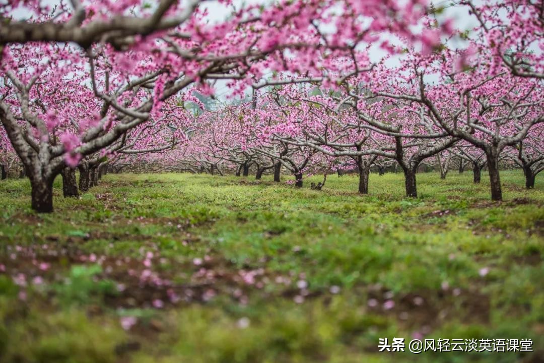 2020年高考作文三大热门题型，审题立意要注意什么？