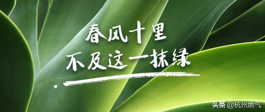 草木之心，乃是人心|春光无限好 履“植”正当时… ​