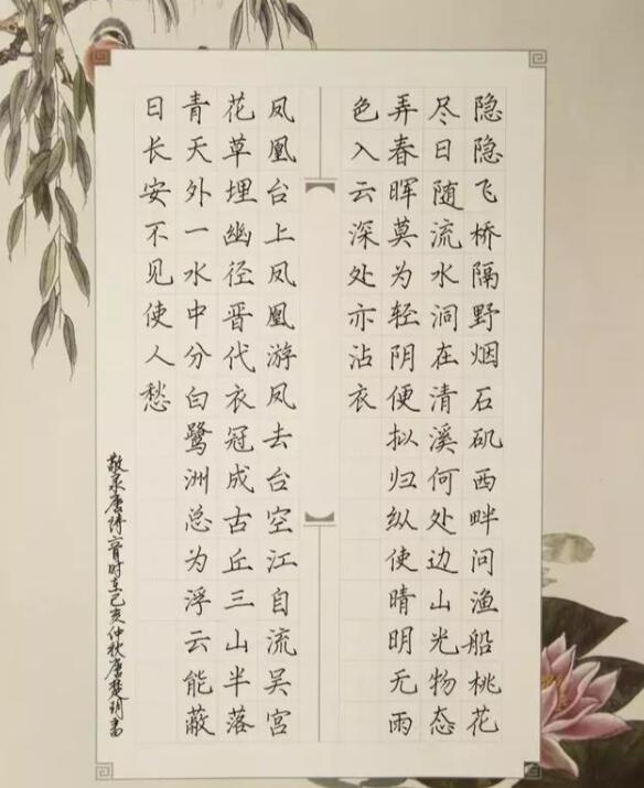 高考语文146分的卷面长啥样？字迹如“印刷体”，有点舍不得扣分