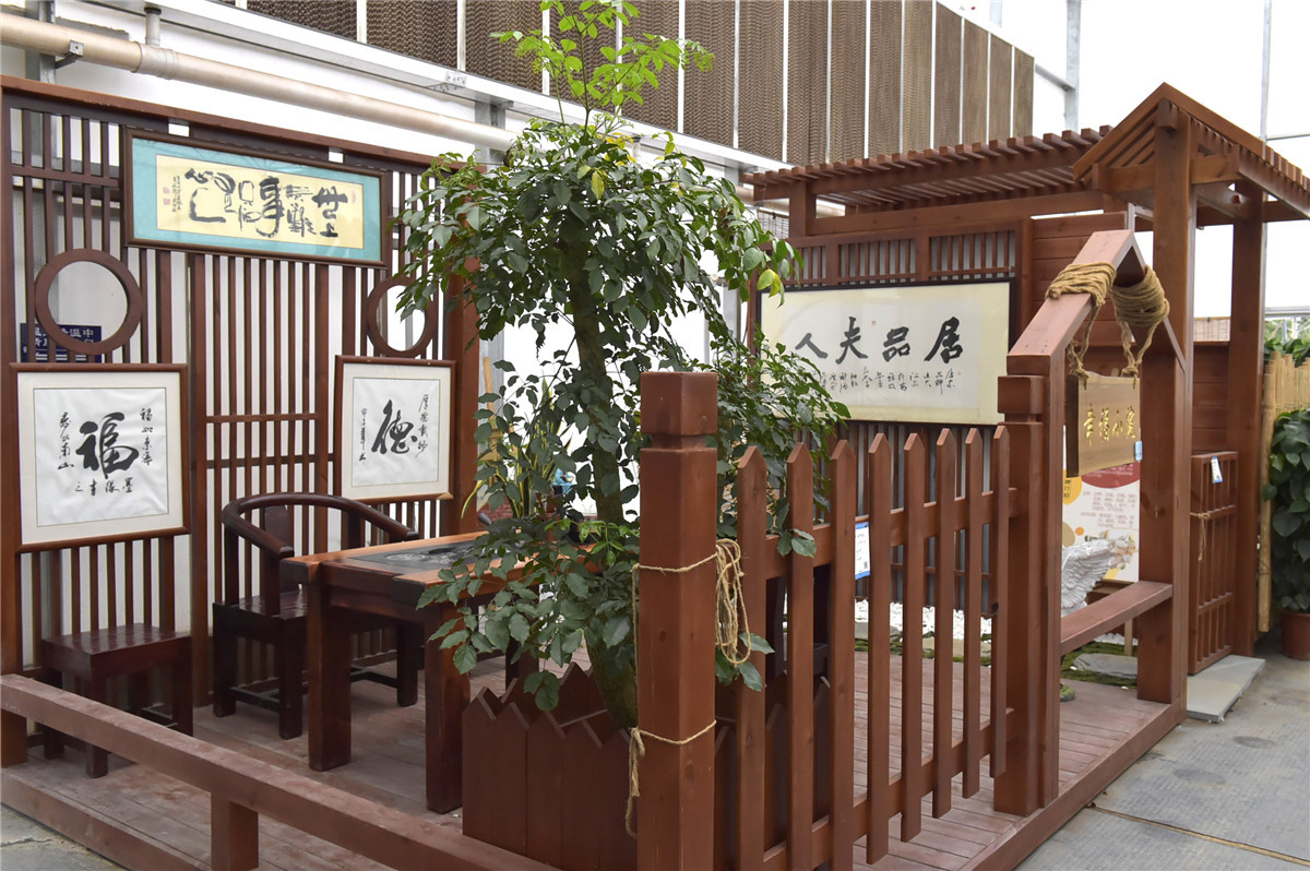桂林:琳琅满目五彩缤纷的花卉超市