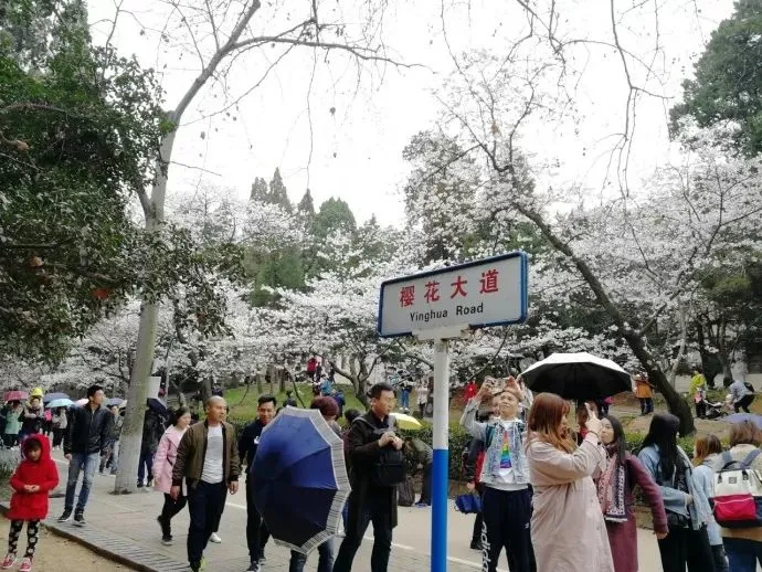 理科：物、化、生三大专业硬核大学实力排行榜！精选