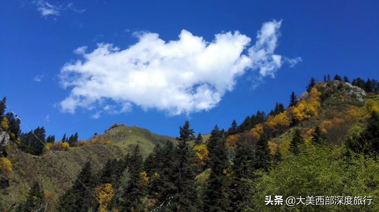 甘南风景里的情诗：任你雪月风花，我只愿逐草天涯