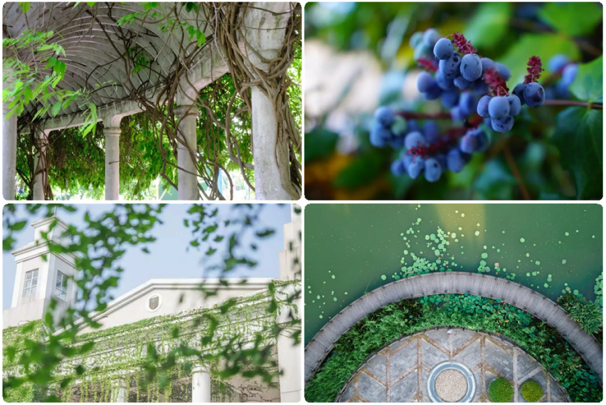 冲上热搜、登上央视、攻克世界性难题，南京工业大学实力如何？就6个词！