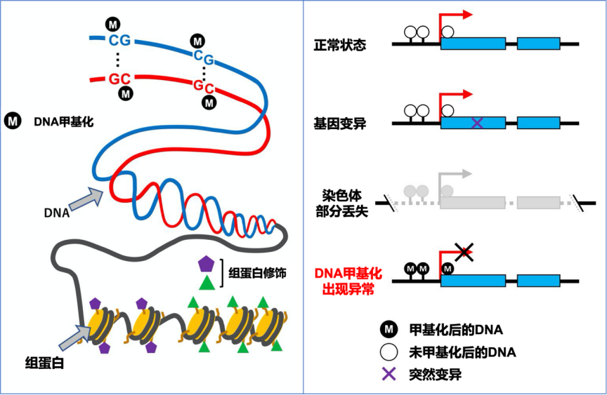 我听见赞誉来自人海，我排着队拿着诺奖的号码牌