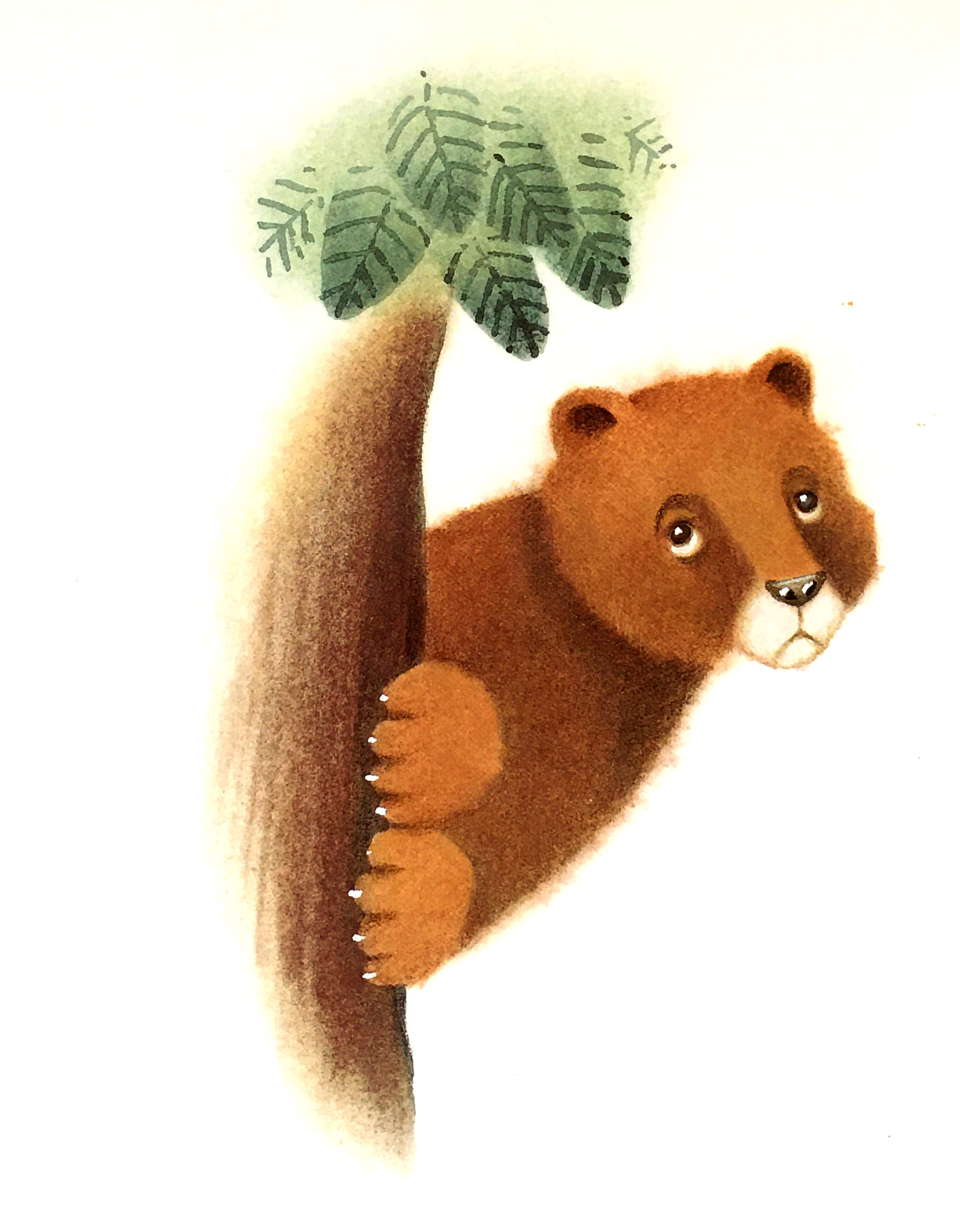 22张儿童绘本插画,寻找朋友的故事,画面唯美可爱,充满童趣