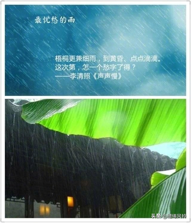 关于大雨的古诗词(关于大雨的古诗词至少五个)