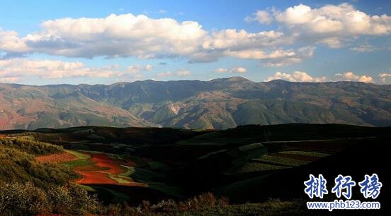 世界上最大的高原是哪里？