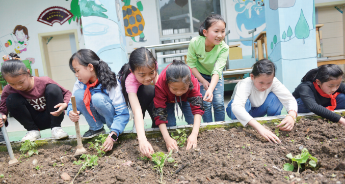 创伟业 开新局⑩｜推进农村教育促进可持续发展 建立绿色生态文明学校和乡村
