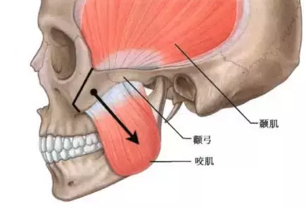 为什么有的人怎么样都不至于丑？可能只因为TA有一副干净的骨相