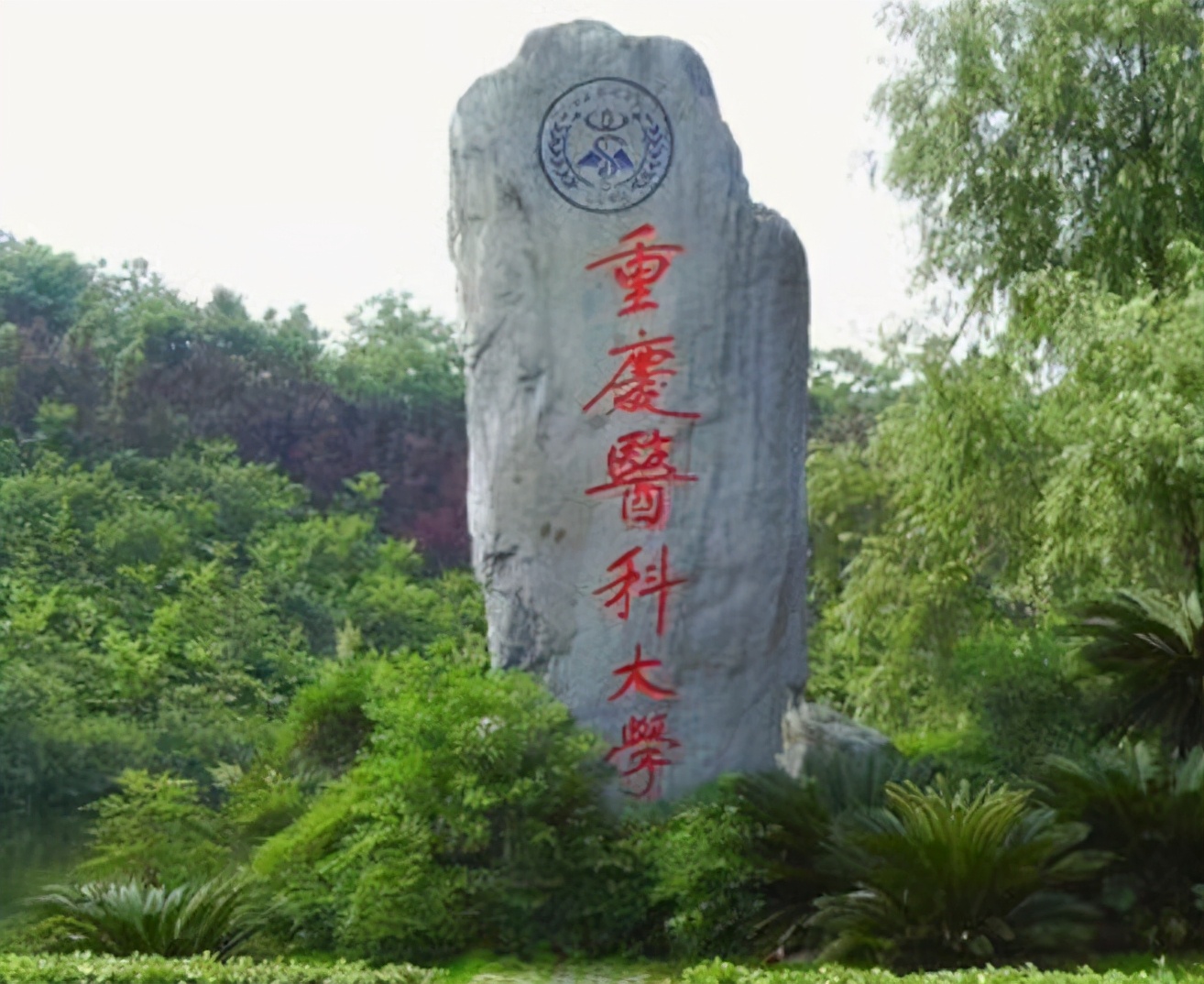 重庆多所高校寒假时间公布，超长假期，网友：真羡慕学生党