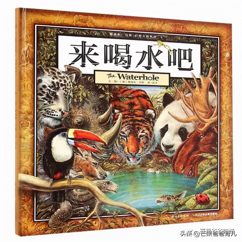 他推荐这TOP20绘本，幼儿园老师照单采购！每本孩子都看了上百遍