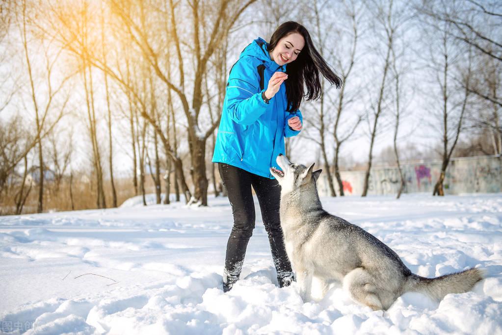 洁白的雪，我爱你，我爱你的纯洁，把大地打扮得多么美丽