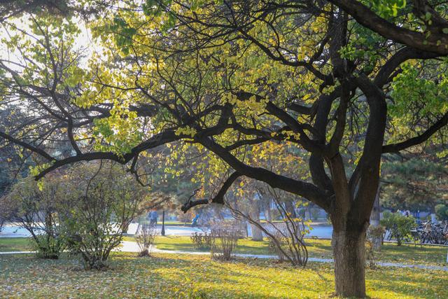 内蒙古的“土豪”大学，是一所省部共建高校，校园风景四季美如画