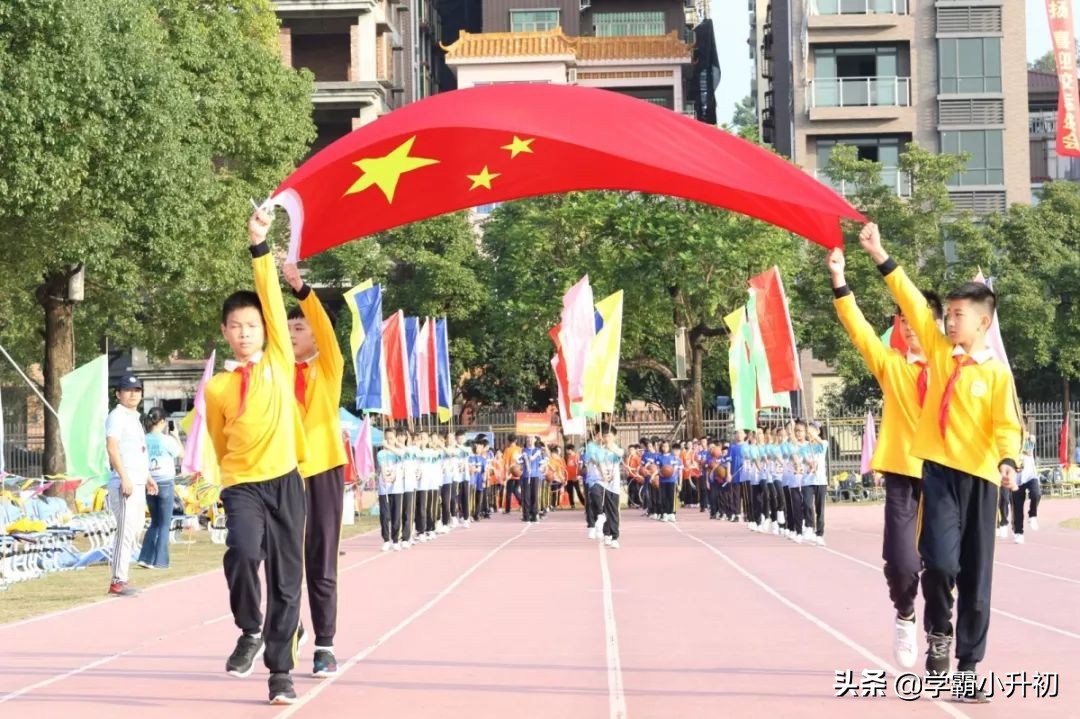 虎门外国语学校2019年小学一年级招生通告