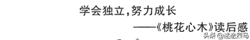 部编版五年级下册第二单元作文读后感的写作技巧，你掌握了几个？