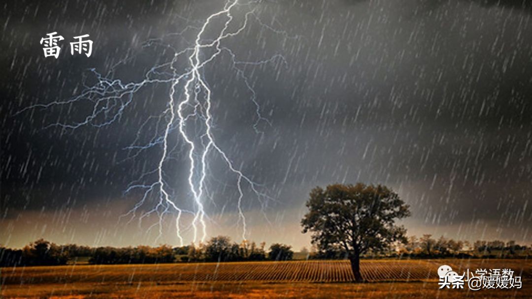 二年级下册语文课文16《雷雨》图文详解及同步练习