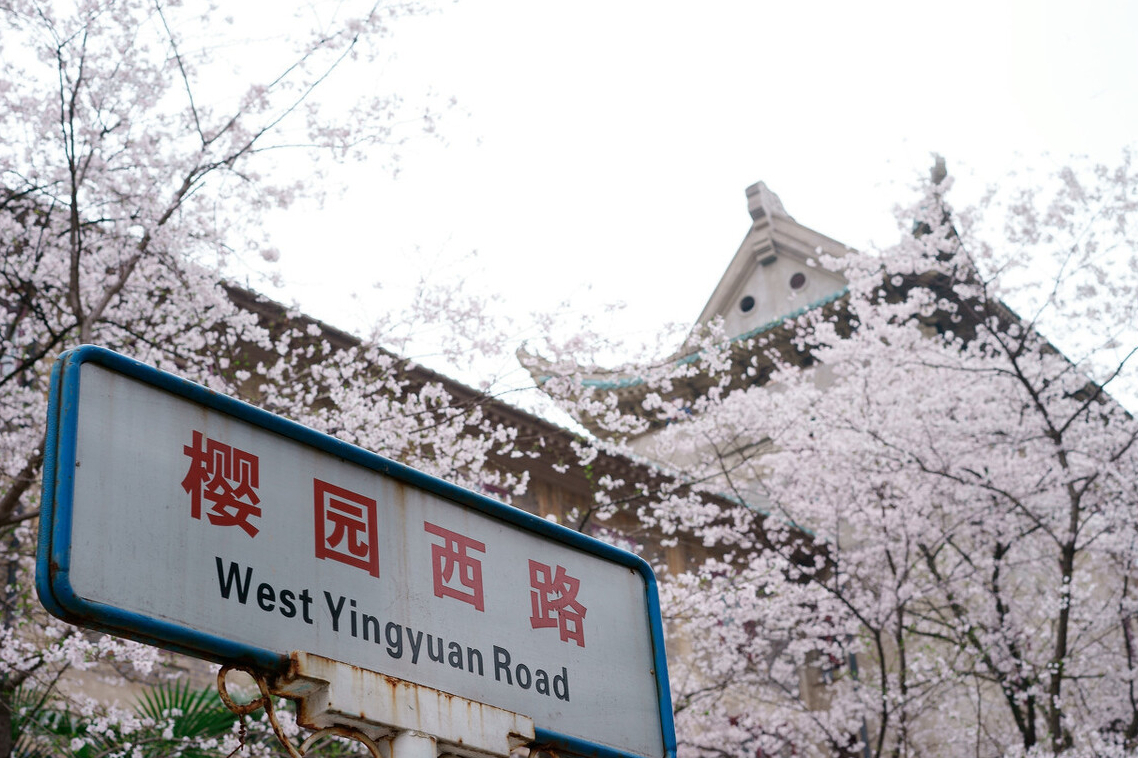 湖北这6所野鸡大学臭名远扬，常有学生上当，明年的考生要提防