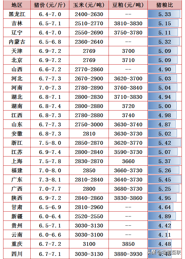 猪价再创新低，仔猪大跌60%，养殖户哭晕在猪圈！粮涨猪跌怎么破