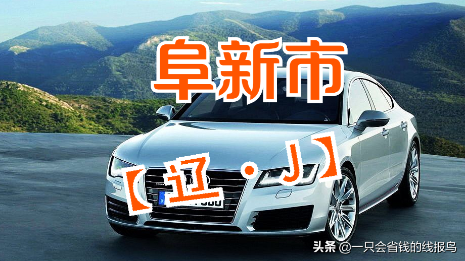 è¾½å®�çœ�æ±½è½¦ç‰Œç…§æŒ‰ç…§å&shy;—æ¯�æ�’åº�