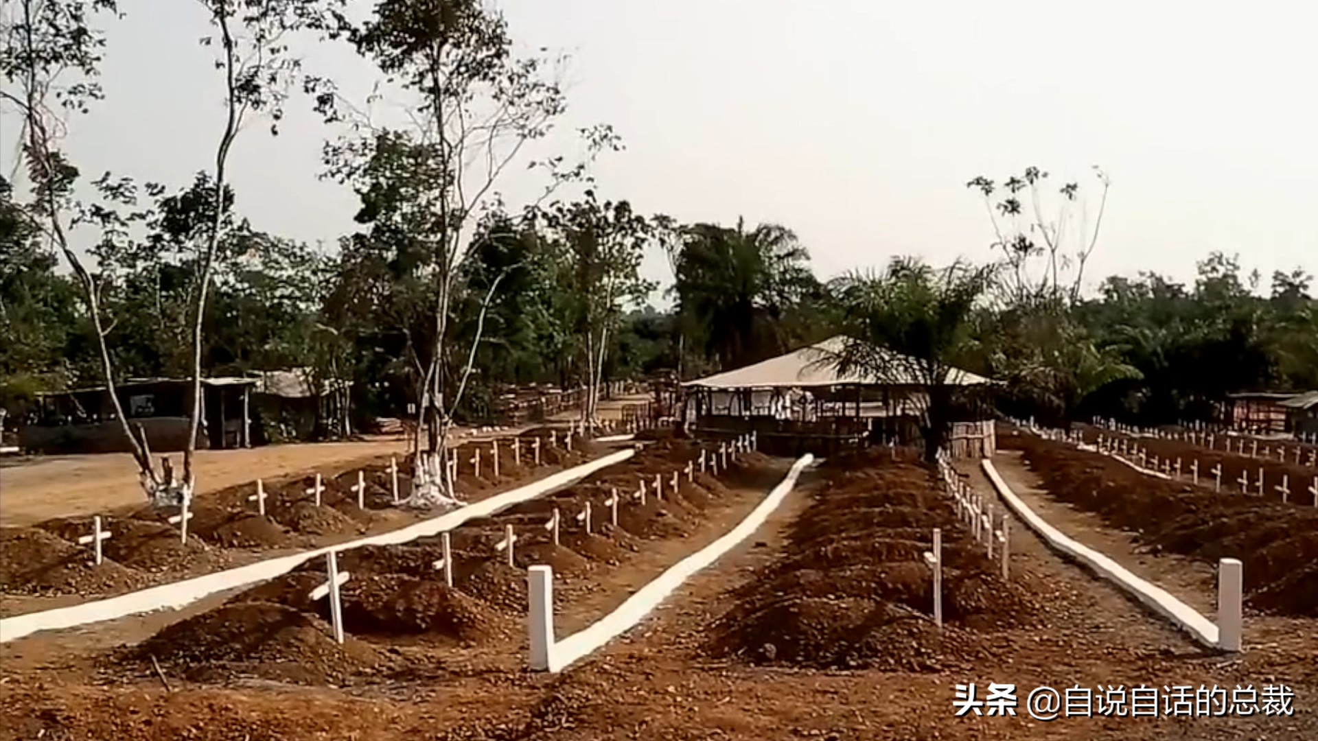 埃博拉：人类的诅咒，你的身体如何对抗它，它到底有多恐怖