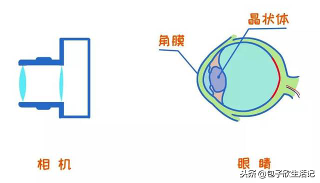 1岁宝宝眼睛就散光？！父母别再把这些问题不当回事