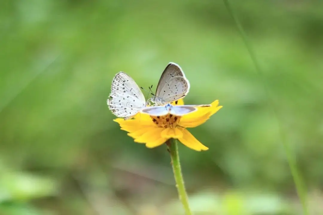 广东财经大学2021年本科招生咨询方式这里全都有