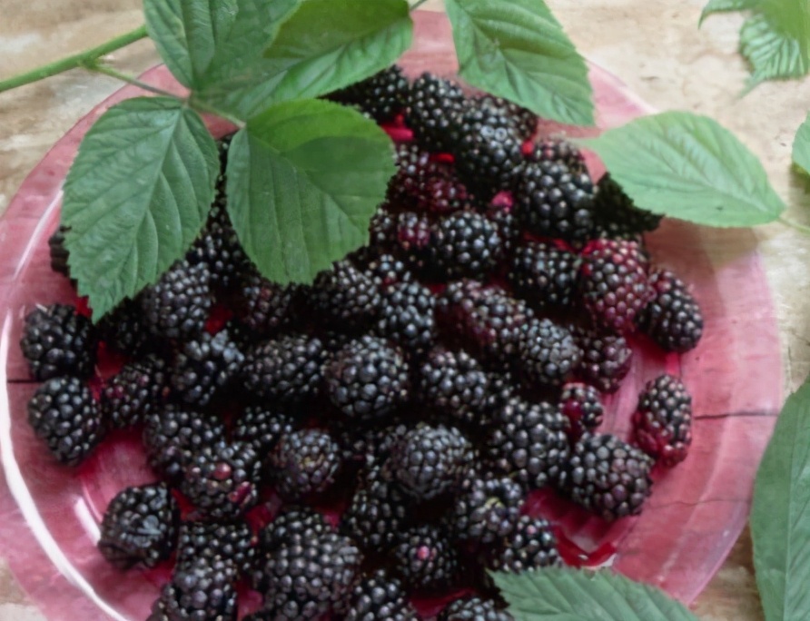 春天多吃这5种水果，应季而食口感香，营养十足，常吃对身体好