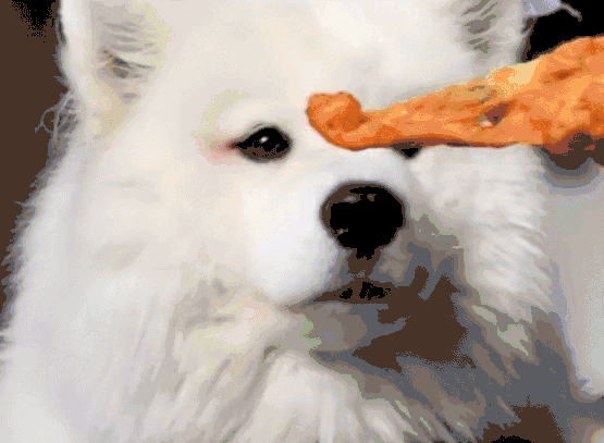 狗狗可以吃红薯吗（对狗狗身体有益的7种食材）
