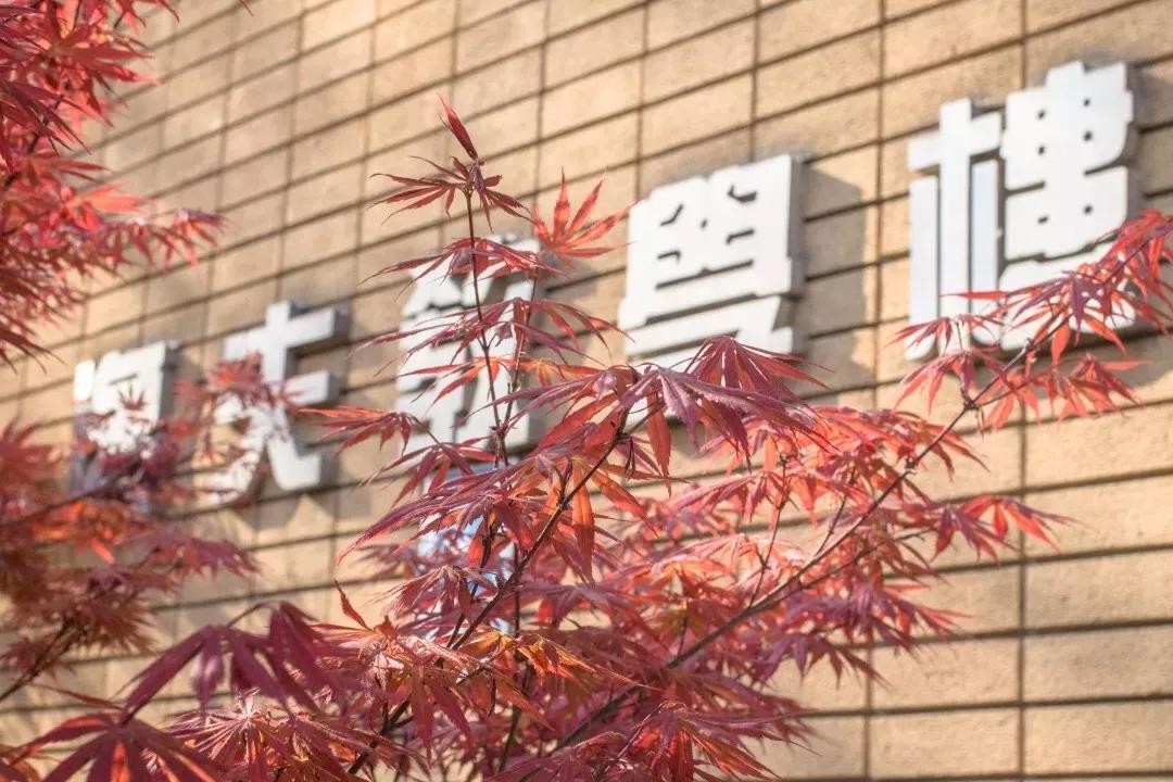 重磅排名发布！北京外国语大学高居外语类榜首，坐拥A级教育质量！