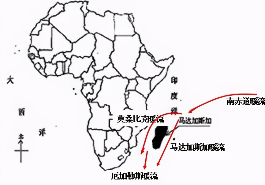 ④南侧:莫桑比克暖流(西侧)与马达加斯加暖流(东侧)汇合,在南侧形成厄