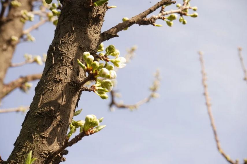 惊艳眼球！最近，陕西高校“最美校花”高清大图曝光