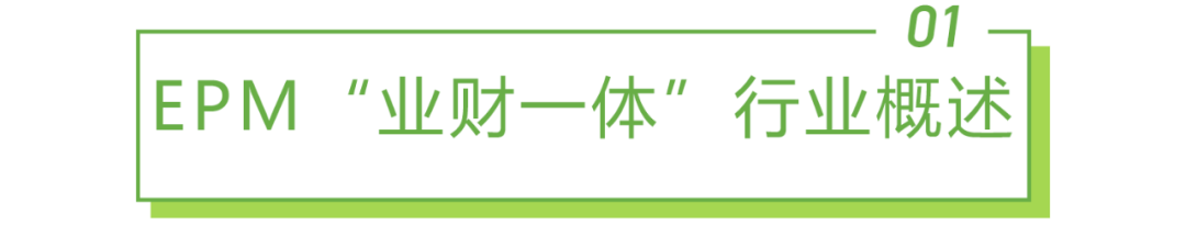 2021年中国EPM“业财一体”行业研究报告