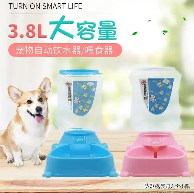 猫咪为什么会流眼泪？是猫咪感觉到了悲伤还是猫咪生病了？