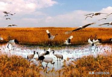 江苏建有大学的17个县或县级市