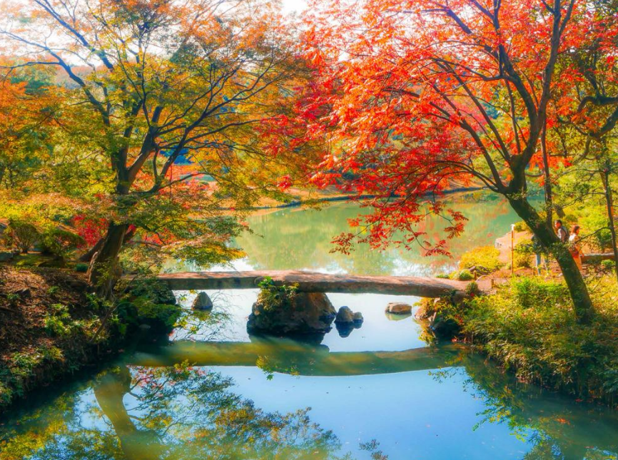 「诗词鉴赏」十首最美的秋日诗词，一起感知秋日美好