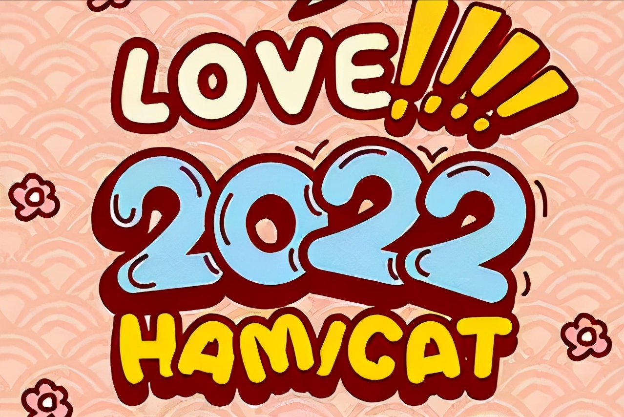 一个自媒体人的半年度总结