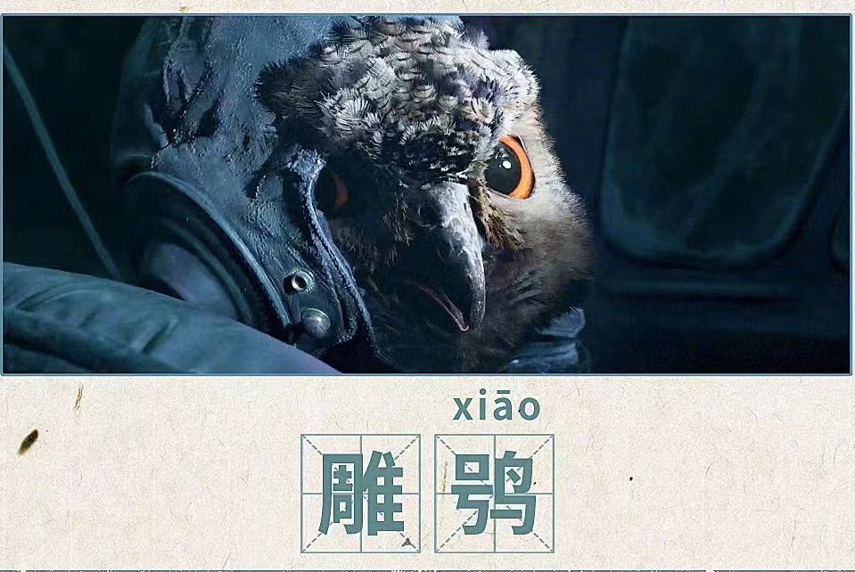 《云南虫谷》生僻字大挑战：盘点那些你常见，但是肯定会读错的字