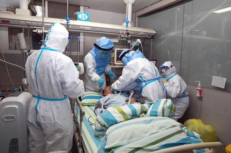 礼待自然 和谐共生——面对疫情的礼仪思考