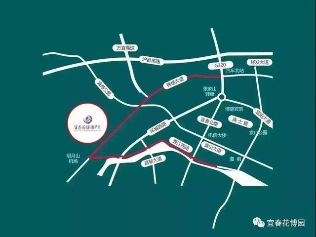 七夕来了！以花为媒，爱在袁州 相约花海