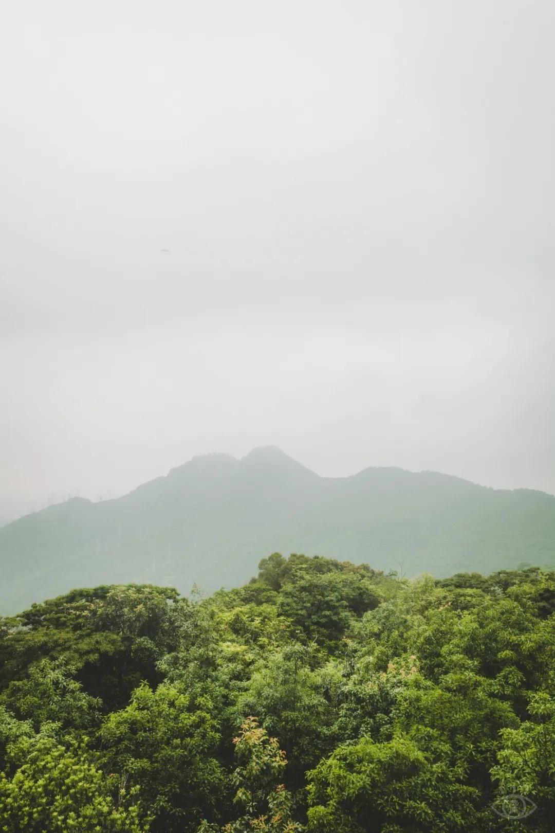 深圳值得征服的10座山，你去过几座？