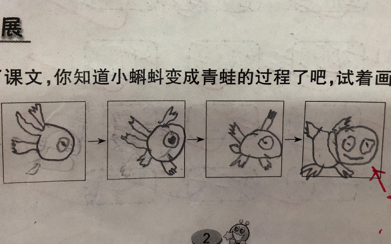 小学生作业画青蛙的简单步骤指南