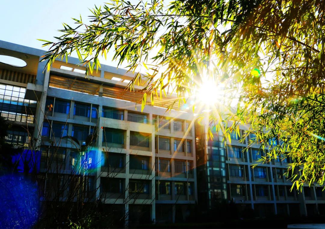 瞩目！5个单词，带你了解西安外国语大学的